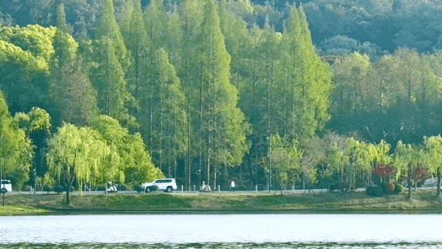 May-03-2025 23-13-18.gif