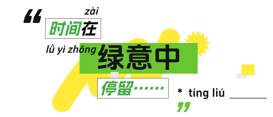 时间绿意.png